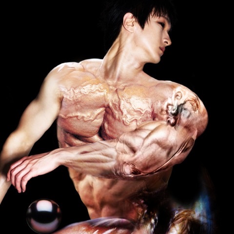 NET GALA — GALAPAGGOT