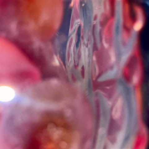 Wona — Too Many Jellies